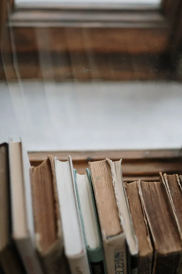 Срочный займ на литературу: как быстро получить средства на покупку книг