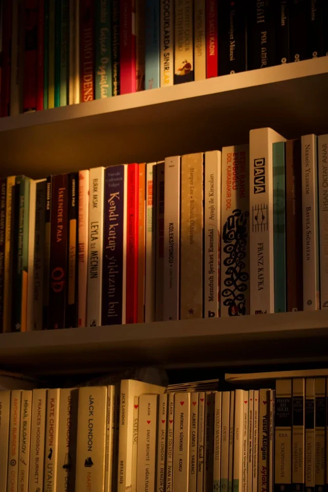 Жанры книг: описание и примеры