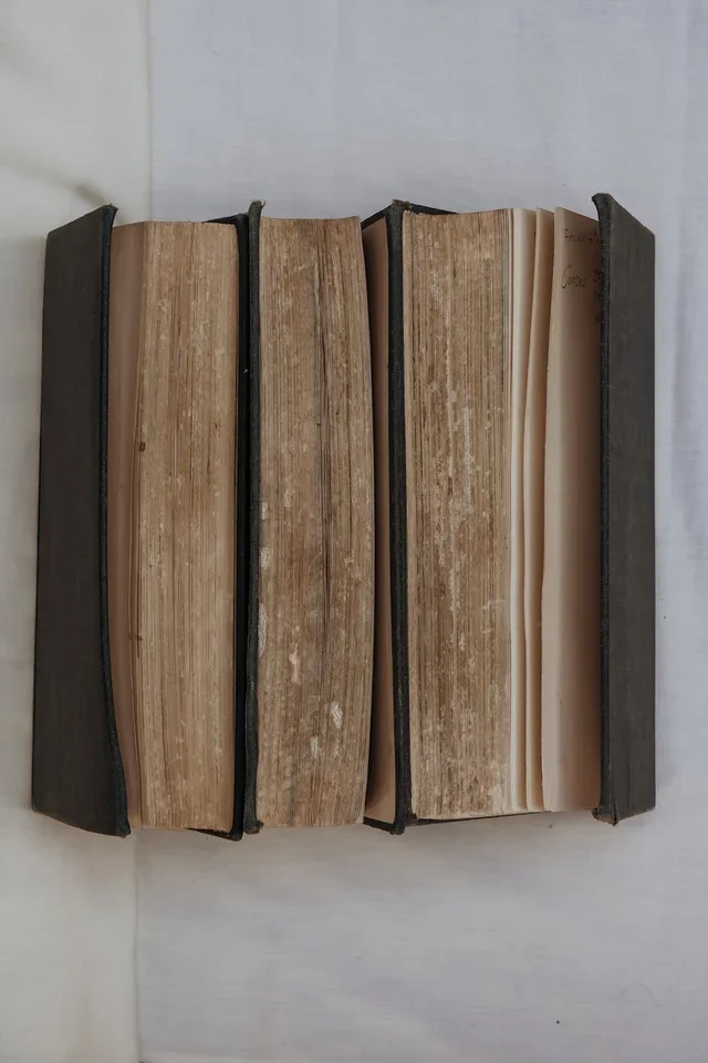 Истоки и эволюция австралийского футбола