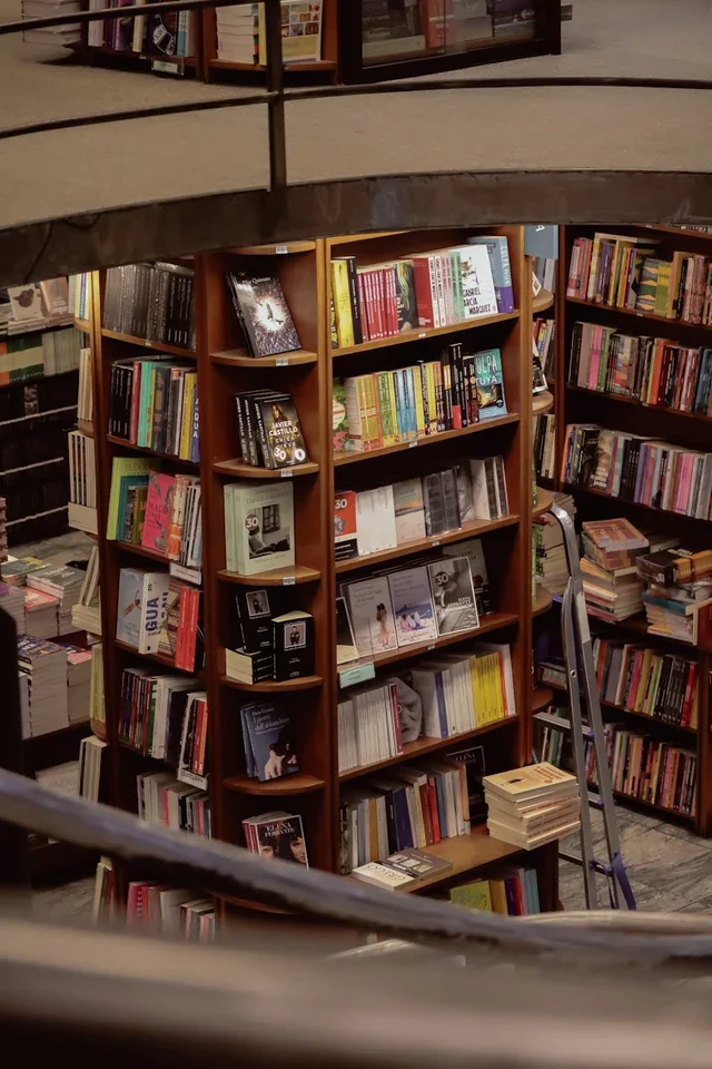 Анализ обложек книг: Как визуальное оформление влияет на выбор читателя