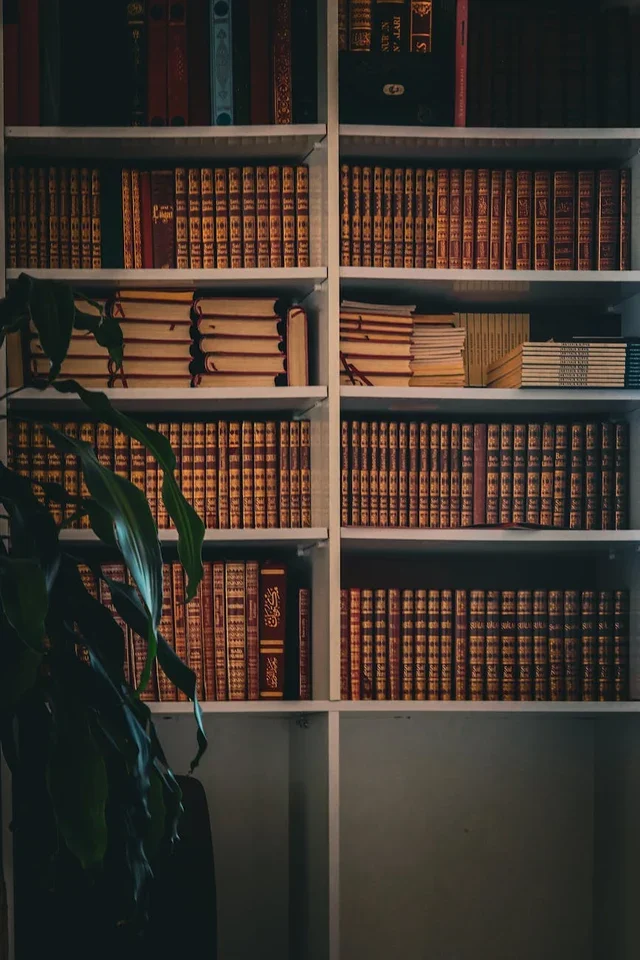 Ценность иллюстрированных изданий: Почему художественная литература с иллюстрациями становится коллекционной