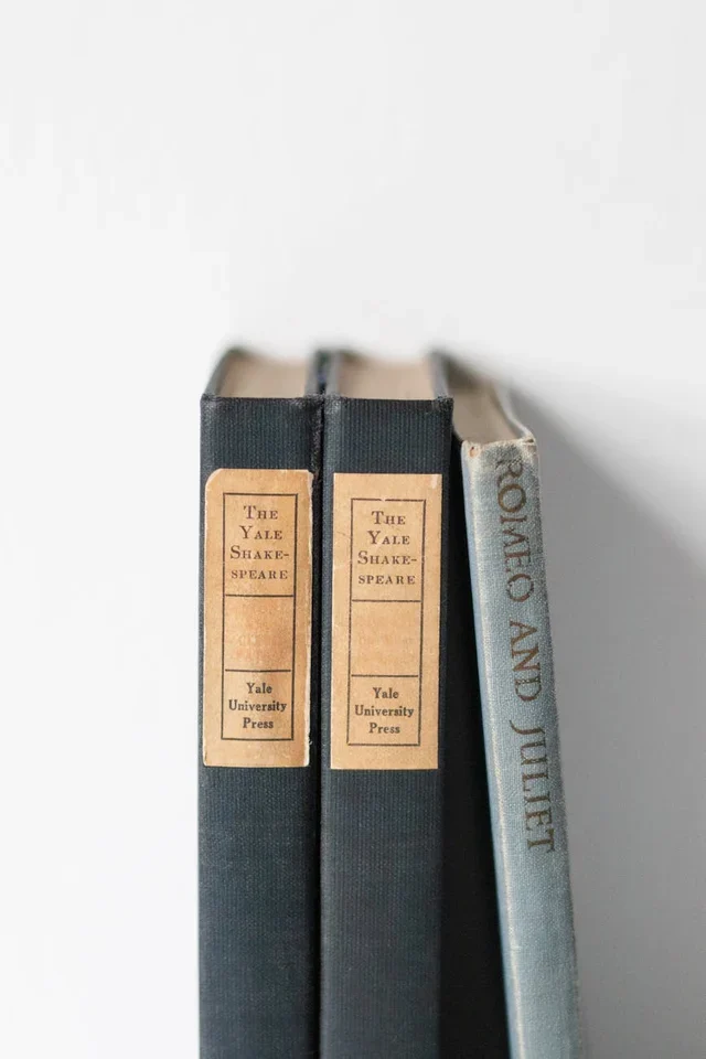 Кубки чемпионства: Глоссарий терминов австралийского футбола